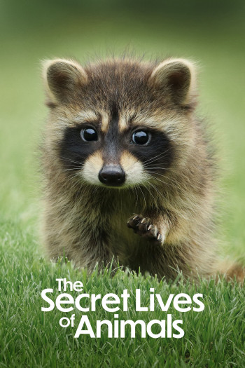 Bí Ẩn Về Thế Giới Động Vật (The Secret Lives of Animals) [2024]