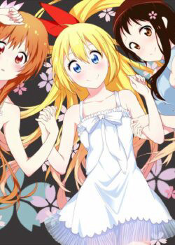 Tình Yêu Ngang Trái (NiseKoi) [2013]